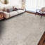 Hand-Knotted High-Quality Gray Area Rug