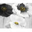 Fleurs blanches assorties - reproduction encadrée monochrome mat