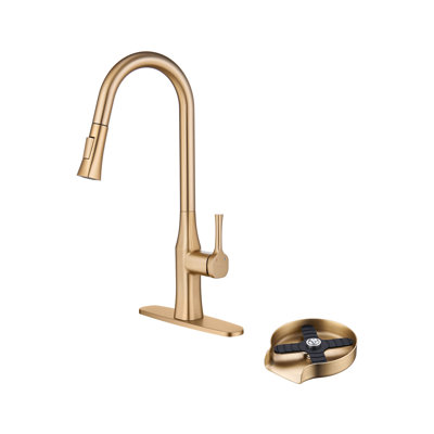 Boyel Living Pull Down Kitchen Faucet