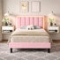 Ensemble de chambre à coucher 3 pièces Smart Bed en cuir avec 2 tables de chevet flottantes à DEL