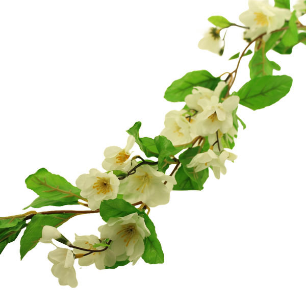 Arrangement, Cream