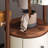 Rolling Coat Rack With Stainless Steel