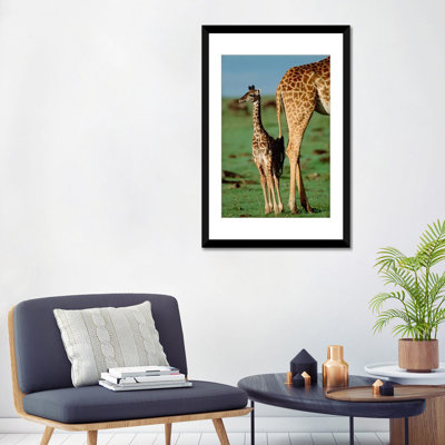 " Masai Giraffe Mother And Young, Kenya II "
