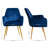 Jevita Velvet Arm Chair, Set Of 2-857611802
