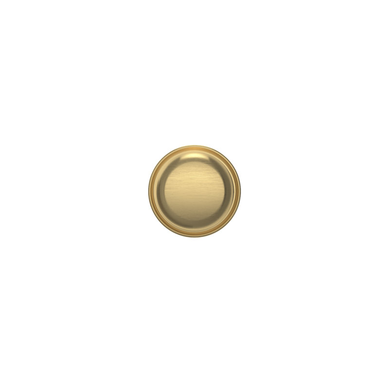 2.09375 Diameter Round, Lifetime (PVD) Satin Brass