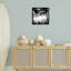 «Sunlit Palm Silhouettes» par Susan Bryant-246149306-246149284