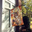 Chat en feuilles d'automne-112700503