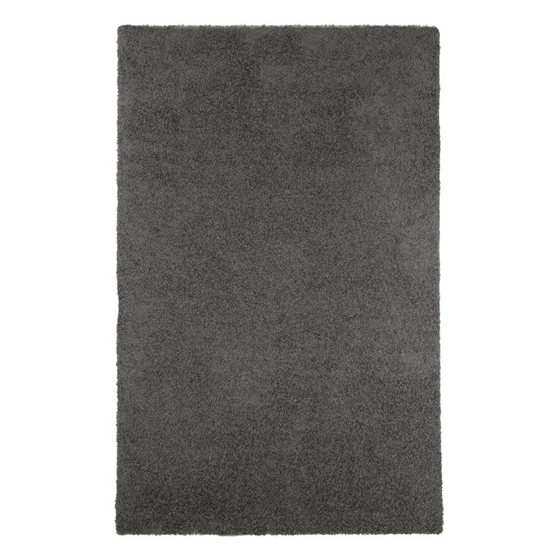 Tapis intérieur/extérieur gris poils longs, Rectangle 8 pi x 10 pi