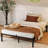 Queen Bed Frame No Box Spring Needed, Heavy Duty Metal Platform Bed Frame-1651362754