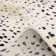 Louis Area Rug in Ivory