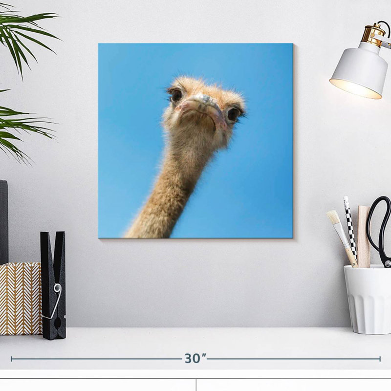 Crowle Curious Ostrich, H 16 po x l 16 po