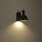 Vanity Wall Sconce