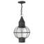 Jolie 1-Light Outdoor Hanging Lantern-205436695