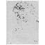 Gustav Klimt - Wrapped Canvas Print-21211765