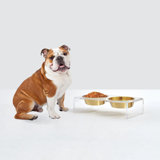 Clear Elevated Feeder with Gold Bowls