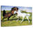 Brampt The Duel 1895-108128186