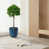 Bleu antique est en rupture de stock