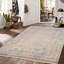 Transitional Hand-Knotted Silver Area Rug