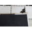 Area Cowhide Patchwork Area Rug in Black/Cream-1810052832