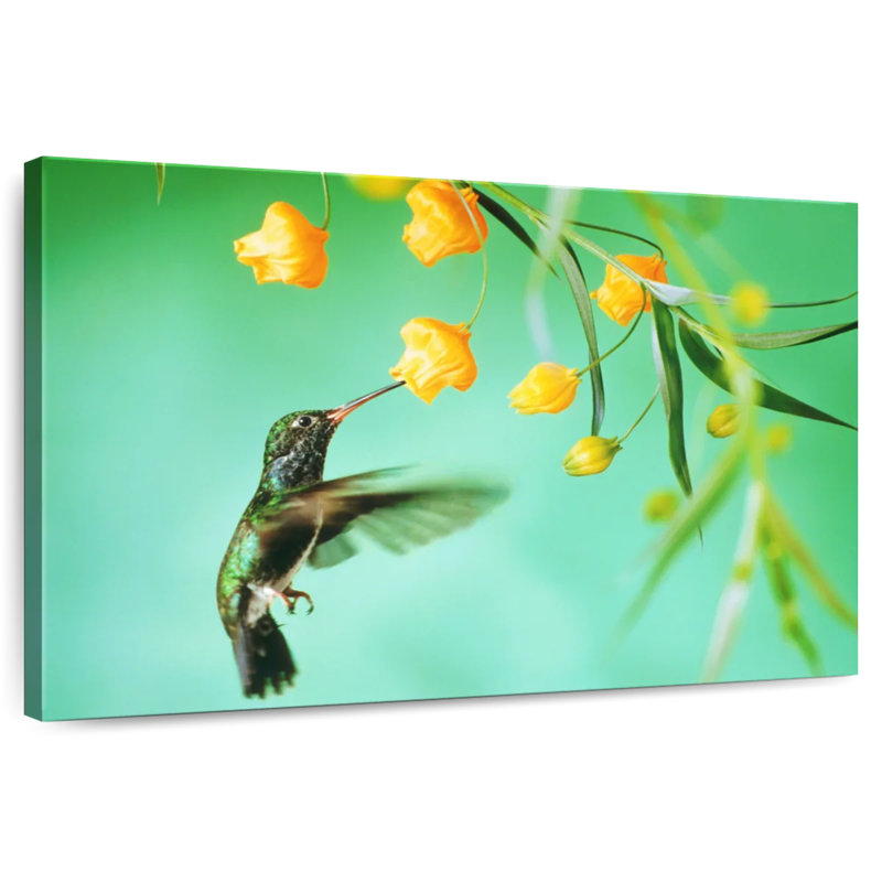 Thirsty Hummingbird, 8" H x 12" W