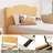 Bed Frame For Kids With Scallop Headboard, Cute Velvet Bed For Girls, Boys, Sturdy Platform Bed-1355025664-1355025665