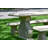 Outdoor Bench
