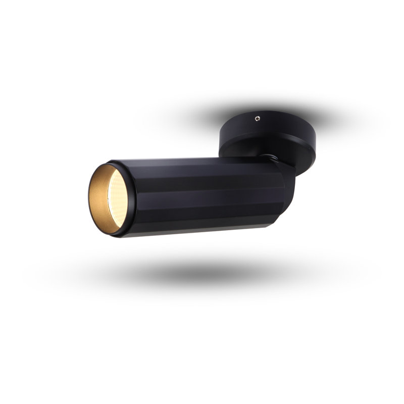 Projecteur de surface réglable à DEL Orbit intégré certifié ETL, angle de faisceau 36, Noir