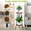 Support pour plante Antimony