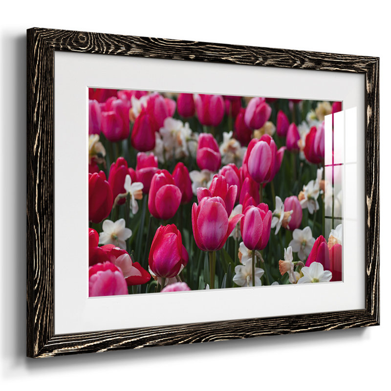Ressemble au printemps, impression sur papier, Noir