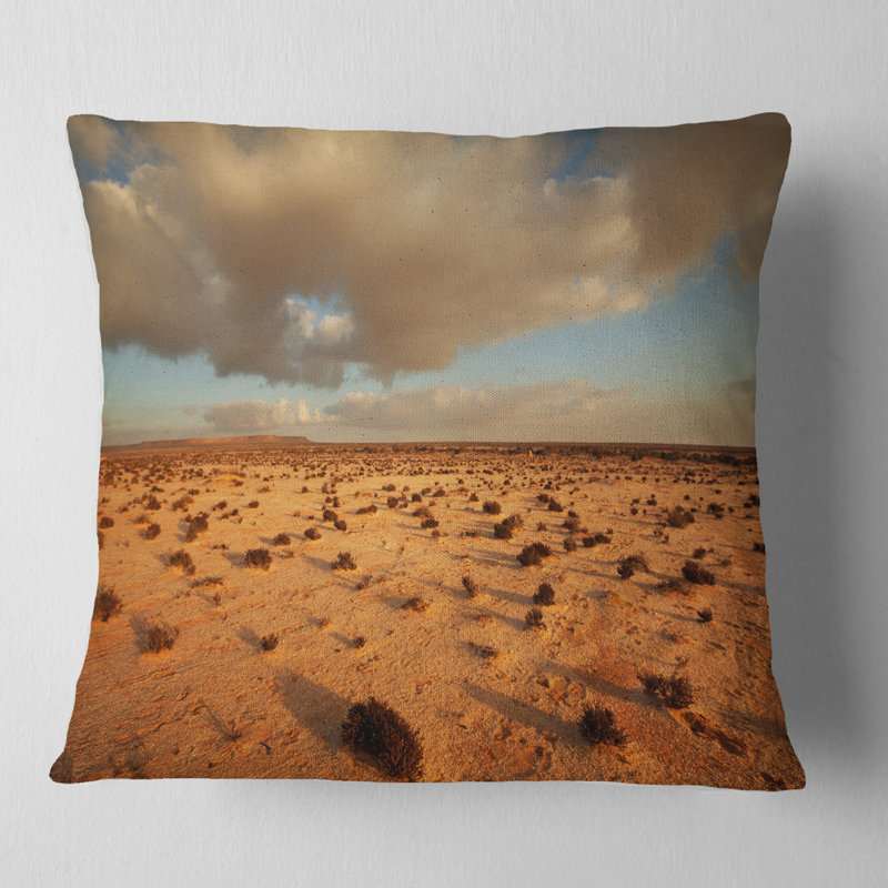 Coussin Schafer Desert in Western Sahara, 16 po x 16 po, Carré
