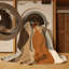 Tapis Dawn's Edge-1530385606