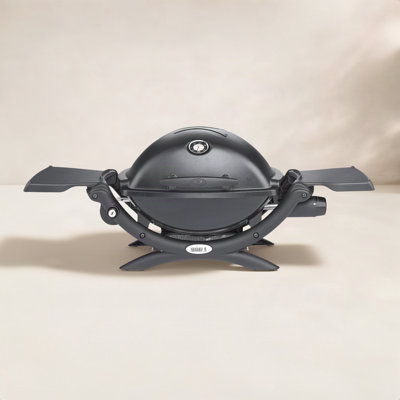 Weber Q® Series Q 1200