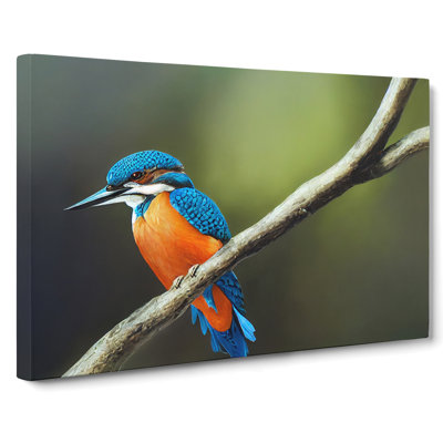 Unreal Kingfisher Bird - Wrapped Canvas