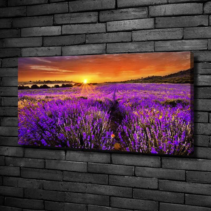 Lavender Field - Wrapped Canvas Print