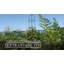 Blomkest Metal Plant Support