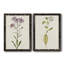Mauve Garden Flowers III, toile encadrée de qualité supérieure - prête à être accrochée-75683463-75683466