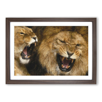 Two Lions - Framed Print