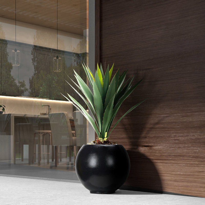 Yucca Plant in Porter Planter, Black