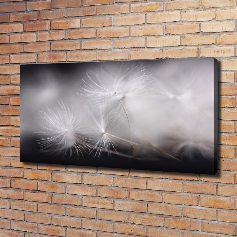 Dandelion Seeds - Wrapped Canvas Print