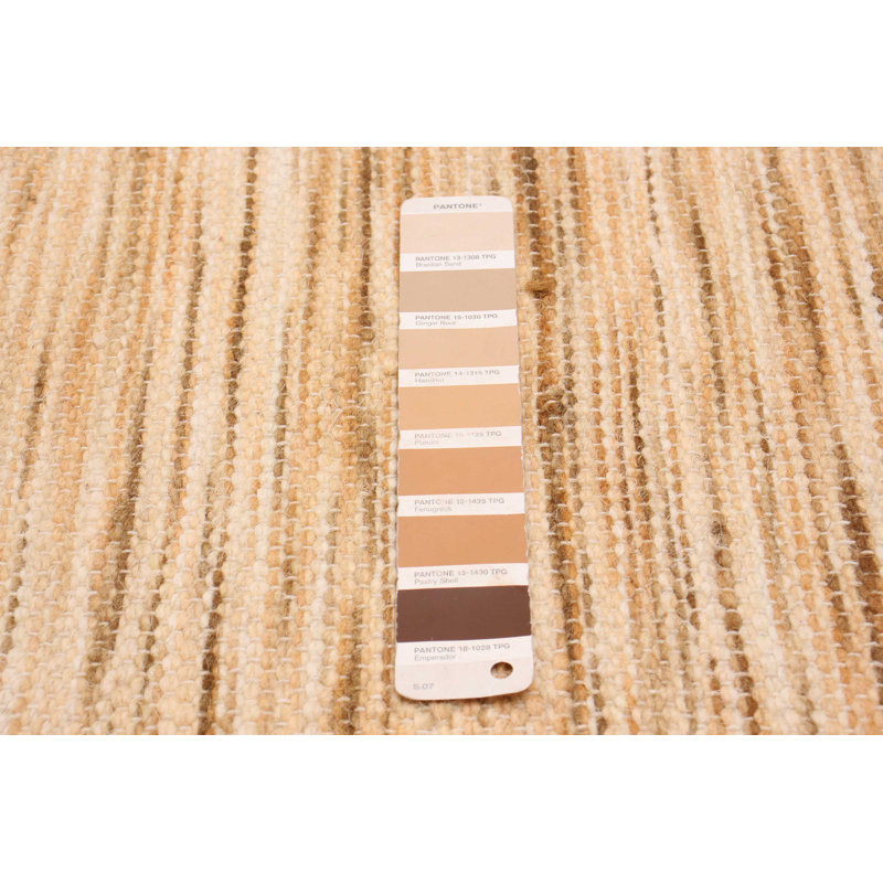 Tapis brun clair en laine nouvel âge 4 pi 11 po x 7 pi 10 po Hrishik