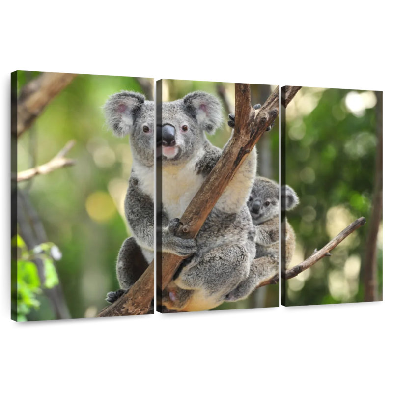 Brampt Australian Koala Bears, 28" H x 45" W