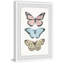 Butterfly Trio - Single Picture Frame Painting-1164004872