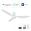 Ventilateur de plafond intelligent 52 po avec télécommande Aurora, ensemble d'éclairage inclus, fonctionne avec l'assistant Google et Amazon Alexa, raccourci Siri.-838544385-838544384
