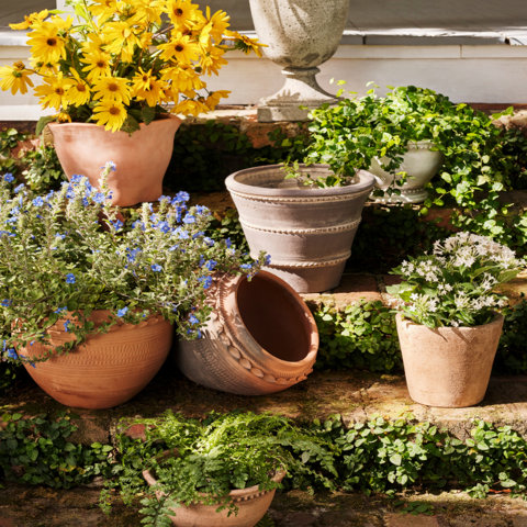 Planters Sale