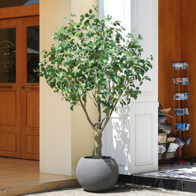 7ft UV Resistant Fake Ficus Tree with Grey Tall Planter for Indoor Outdoor Office Home Decor