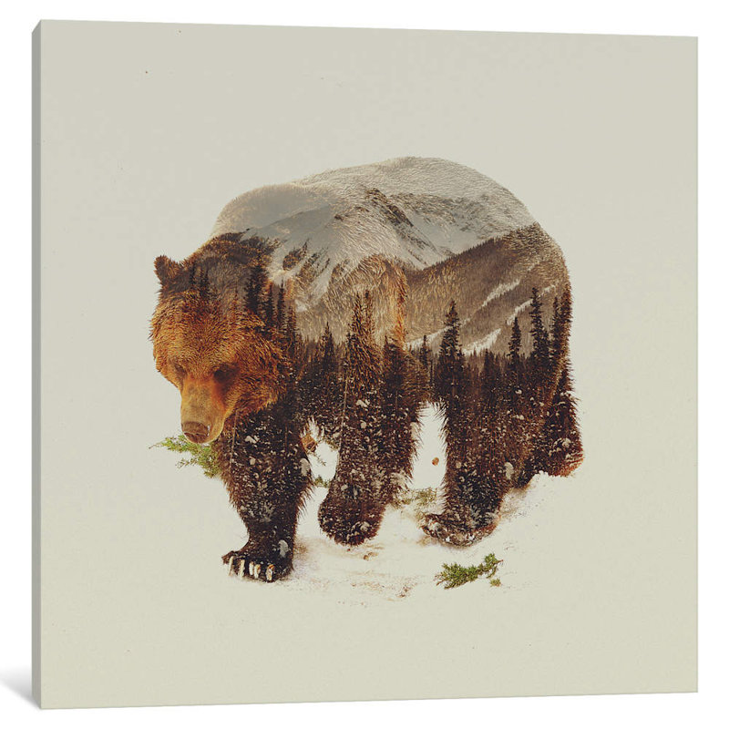Bear I by Andreas Lie - Print on Canvas, 45.72 cm H x 45.72 cm W x 1.91 cm D, No Frame