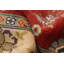 Tapis rouge Finest Ghazni 4 pi 9 po x 6 pi 8 po