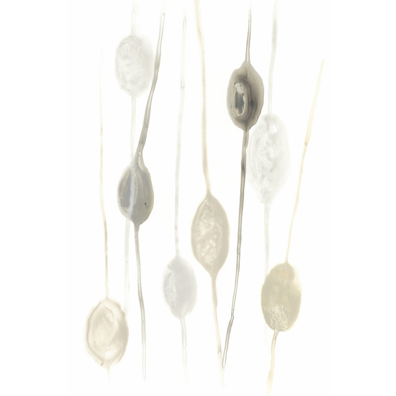 Legume I by June Erica Vess - Wrapped Canvas Art Prints, 46cm H x 30cm W