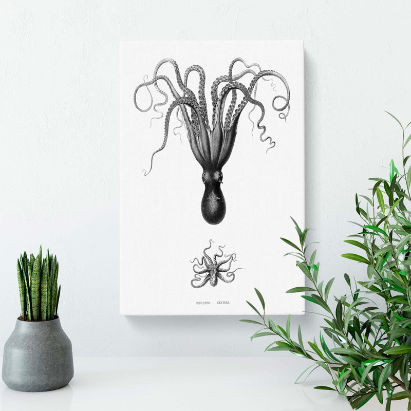 Vintage Octopus Illustration by E.F. Jomard - Wrapped Canvas Print, 50cm H x 35cm W x 3cm D