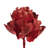 8" flower Red Queen Flower, 1 stem, Dried